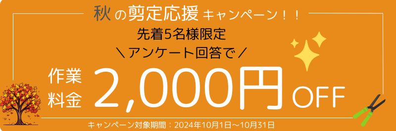 秋の剪定キャンペーン2,000円OFF